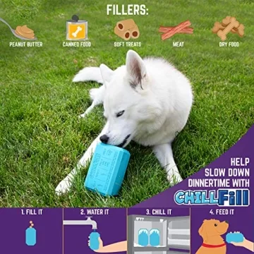Chew King Chill Fill Durable Dog Toy for All Breeds