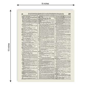 Vintage Camera Art Print Antique Dictionary Home Decor