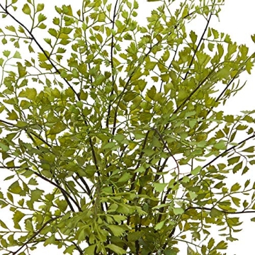 Nearly Natural Maiden Hair Faux Plant for Home Decor