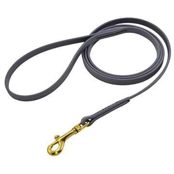 J&J Dog Supplies Biothane Dog Leash, 1/2" Wide by 6' Long, Gray
