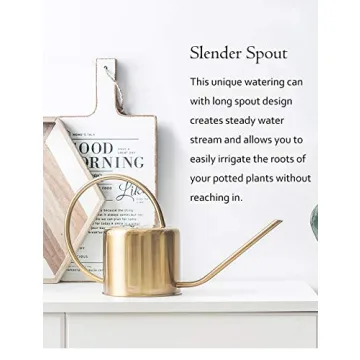 Stylish 45oz Premium Watering Can for Indoor Plants