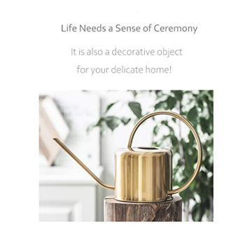 Stylish 45oz Premium Watering Can for Indoor Plants