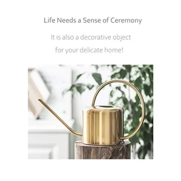 Stylish 45oz Premium Watering Can for Indoor Plants