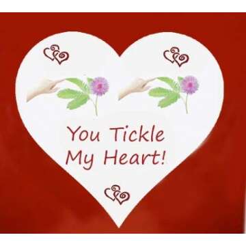 Valentine's Day TickleMe Plant Gift Kit - You Tickle My Heart - Grow The Playful Plant That Closes its Leaves When Tickled or Kissed! Adult Plants can Produce Sparkling Pink Flowers. Complete kit.