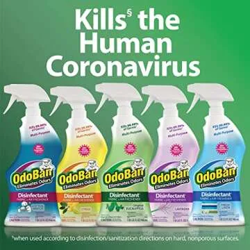 OdoBan Ready-to-Use Disinfectant and Odor Eliminator, 32 Ounce Spray Bottle, Original Eucalyptus Scent