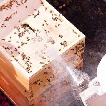 Bee Hive Smoker Stainless Steel Heat Shield for Beekeeping