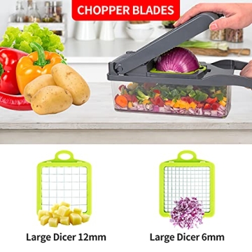 T-GOGO Pro Vegetable Chopper: 10-in-1 Kitchen Tool