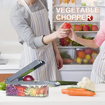 T-GOGO Pro Vegetable Chopper: 10-in-1 Kitchen Tool