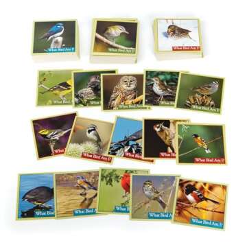 Outset Media What Bird Am I? Bird Identification Game