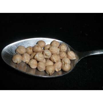 Garbanzo Beans, 5 Pounds (Chick Peas), USDA Certified Organic, Dried, Non-GMO, Great for hummus, Bul...