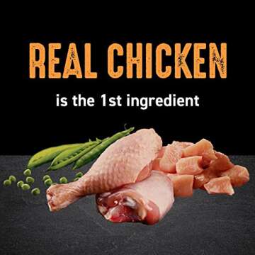 CRAVE Grain Free Adult High Protein Natural Dry Cat Food with Protein from Chicken, 10 lb. Bag