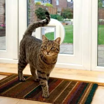 Secure Access with SureFlap Microchip Cat Door