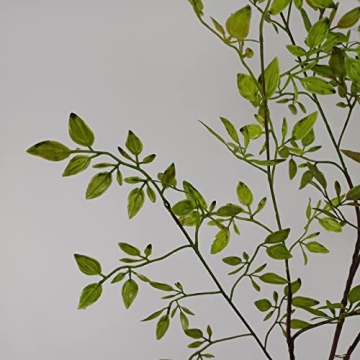Realistic Artificial Eucalyptus Stems for All Events