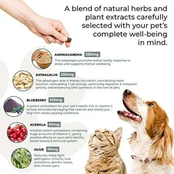 Real Mushrooms Immune Pet Chews (60ct) & Relax Pet Chews (60ct) - Bundle for Immunity, Relaxation & Longevity - Reishi, Lion’s Mane, Ashwagandha, Astragalus & More - Vegan, Non-GMO, Gluten-Free