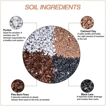 Premium 20qt Bonsai Soil Mix - Perfect for All Bonsai Trees