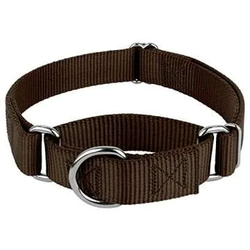 Country Brook Petz Martingale Dog Collar - Heavy-Duty Training Collar with No Buckle - Service Dog Collar for All Pups - Vibrant, Colorful Collection (Brown, 1 Inch, Large)