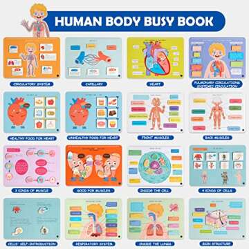 Freebear Montessori Busy Book for Kids, Human Body Anatomy Book for Toddlers, Preshool Kindergarten ...