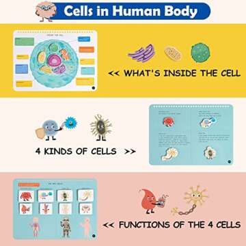 Freebear Montessori Busy Book for Kids, Human Body Anatomy Book for Toddlers, Preshool Kindergarten Learning Activities, Autism Sensory Toys, Gifts for Girls and Boys 4 5 6 7 Years - Human Body System