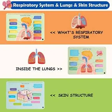 Freebear Montessori Busy Book for Kids, Human Body Anatomy Book for Toddlers, Preshool Kindergarten Learning Activities, Autism Sensory Toys, Gifts for Girls and Boys 4 5 6 7 Years - Human Body System