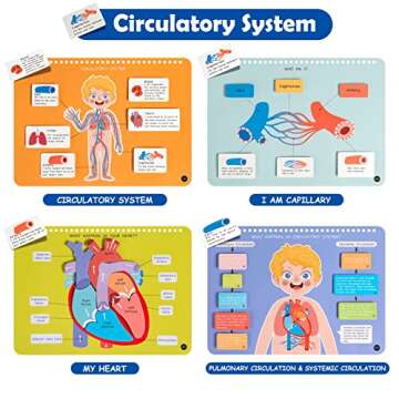 Freebear Montessori Busy Book for Kids, Human Body Anatomy Book for Toddlers, Preshool Kindergarten Learning Activities, Autism Sensory Toys, Gifts for Girls and Boys 4 5 6 7 Years - Human Body System