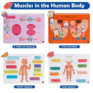 Freebear Montessori Busy Book for Kids, Human Body Anatomy Book for Toddlers, Preshool Kindergarten Learning Activities, Autism Sensory Toys, Gifts for Girls and Boys 4 5 6 7 Years - Human Body System