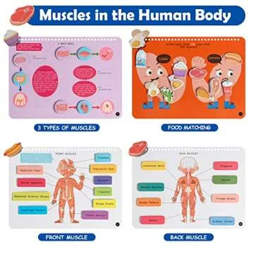 Freebear Montessori Busy Book for Kids, Human Body Anatomy Book for Toddlers, Preshool Kindergarten Learning Activities, Autism Sensory Toys, Gifts for Girls and Boys 4 5 6 7 Years - Human Body System