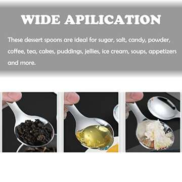 Stainless Steel Mini Spoons for Tasting and Seasoning