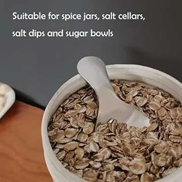 Stainless Steel Mini Spoons for Tasting and Seasoning