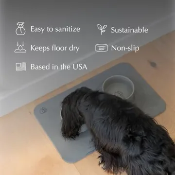 Modern Dog Bowl Set with Quick Drying Stone Base