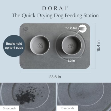 Modern Dog Bowl Set with Quick Drying Stone Base