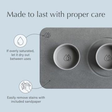 Modern Dog Bowl Set with Quick Drying Stone Base