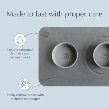 Modern Dog Bowl Set with Quick Drying Stone Base