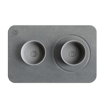 Modern Dog Bowl Set with Quick Drying Stone Base