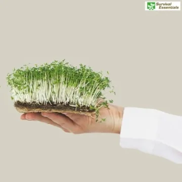 Heirloom Seed Collection - 125 Non-GMO Gardening Varieties