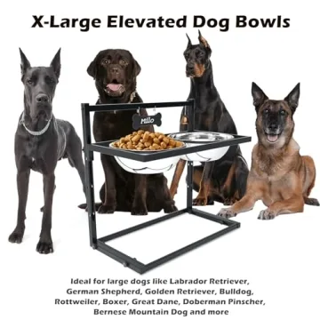 SHAINFUN Elevated Dog Feeder with Adjustable Height and Bowls