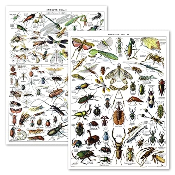 Vintage Insect Poster Print - Entomology Identification Reference Chart Volume 1 & 2 (LAMINATED, 18"...