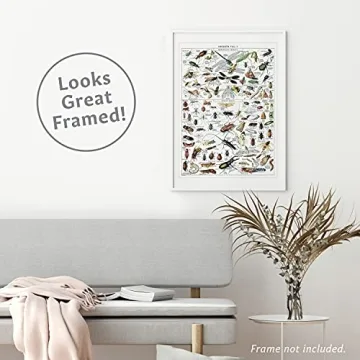 Vintage Insect Posters Set of 2 Laminated Educational Prints