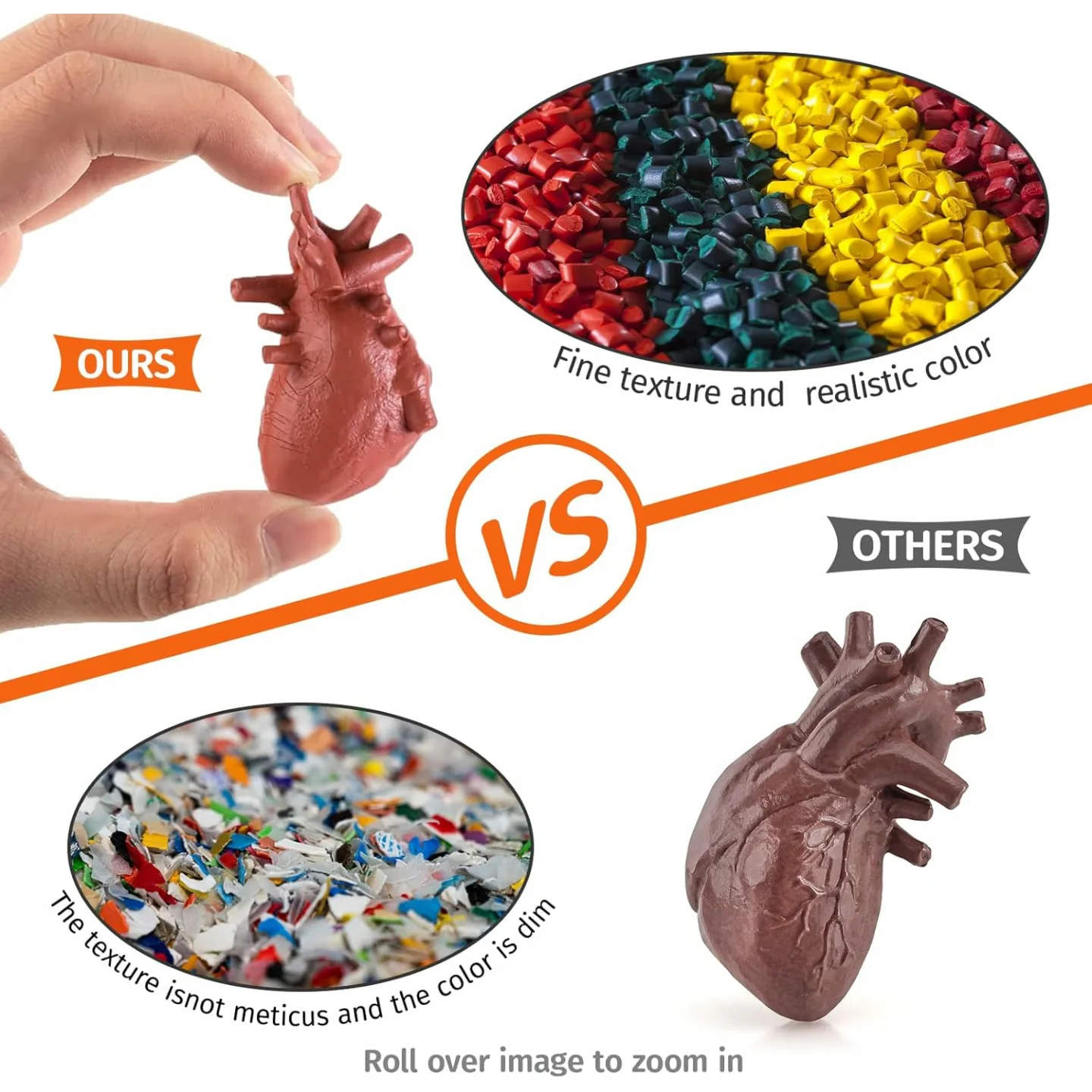 Mini Human Body Anatomy Model Set for Kids