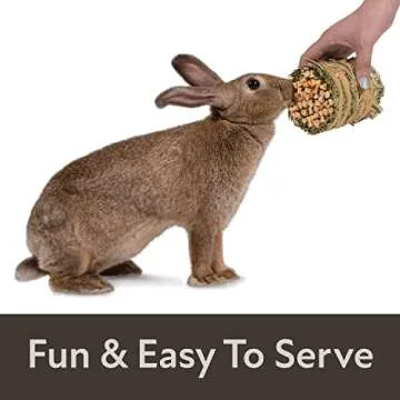 Kaytee Mini Hay Bale with Apple - Natural Pet Foraging Treat