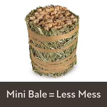 Kaytee Mini Hay Bale with Apple - Natural Pet Foraging Treat