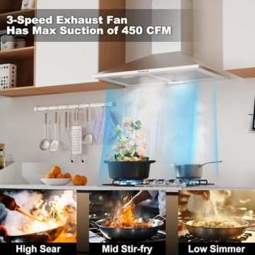 Nardea 30 Inch Range Hood with 450 CFM Powerful Suction