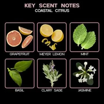 LOVSPA Coastal Citrus Reed Diffuser Set for Subtle Aromas