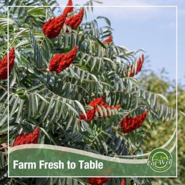 Eat Well Sumac Spice Powder - Tangy and Citrus Flavor