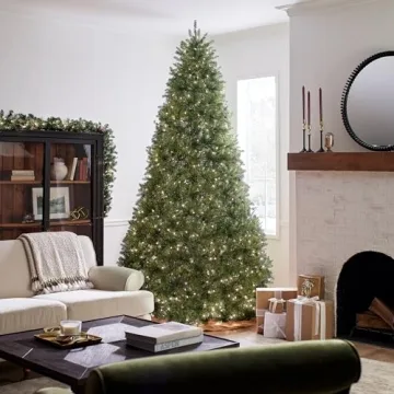 National Tree Company Pre-Lit Artificial Full Christmas Tree, Green, White Lights, Includes Stand, 10 Feet