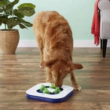 Dogit Mind Games 3-in-1 Interactive Smart Toy For Dogs, Includes Hide &-Seek, Spin-A-Whirl, & Sliding Puzzle Games