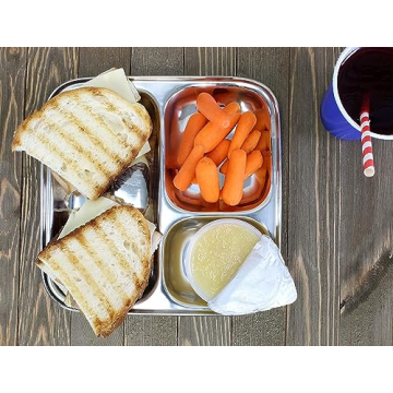 Darware Stainless Steel Divided Plates for Kids and Adults