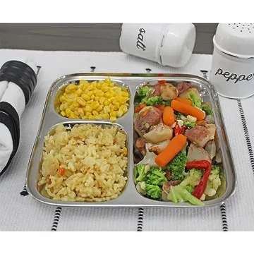 Darware Stainless Steel Divided Plates for Kids and Adults