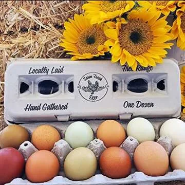 25 Egg Cartons – Adorable Vintage Design for your Farm Fresh Eggs, 100% Recycled Paper Cardboard, Sturdy & Reusable, Holds Small to XL Chicken Eggs
