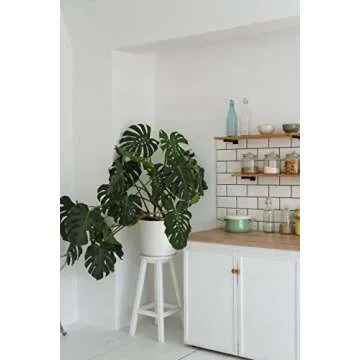 Planter Pot with Drainage Hole for Indoor Outdoor Use