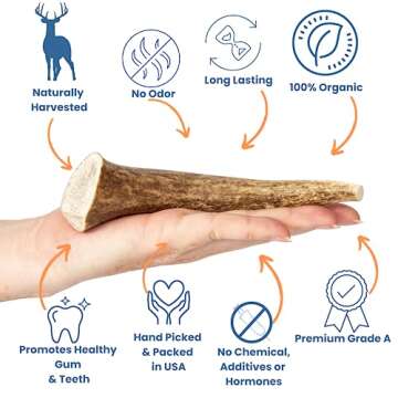 K9warehouse Natural Whole Elk Antlers for Dogs Large - Premium Dog Antler Chews - Long-Lasting Deer ...